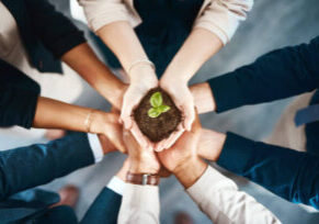 High angle shot of a group of business colleagues holding a budding plant growing out of soil in their hands